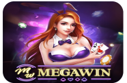 MEGAWIN